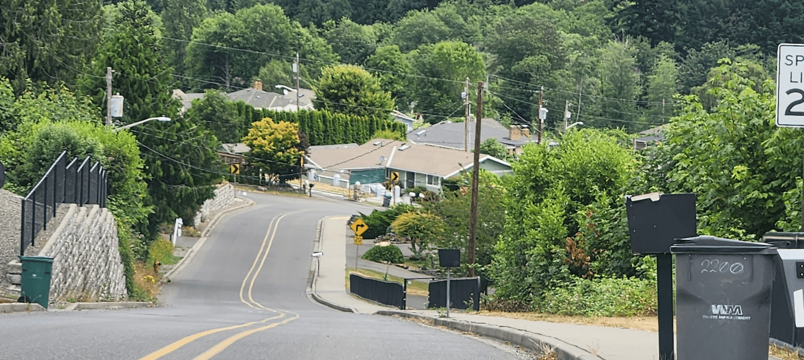 Hilly suburban street with houses and trees