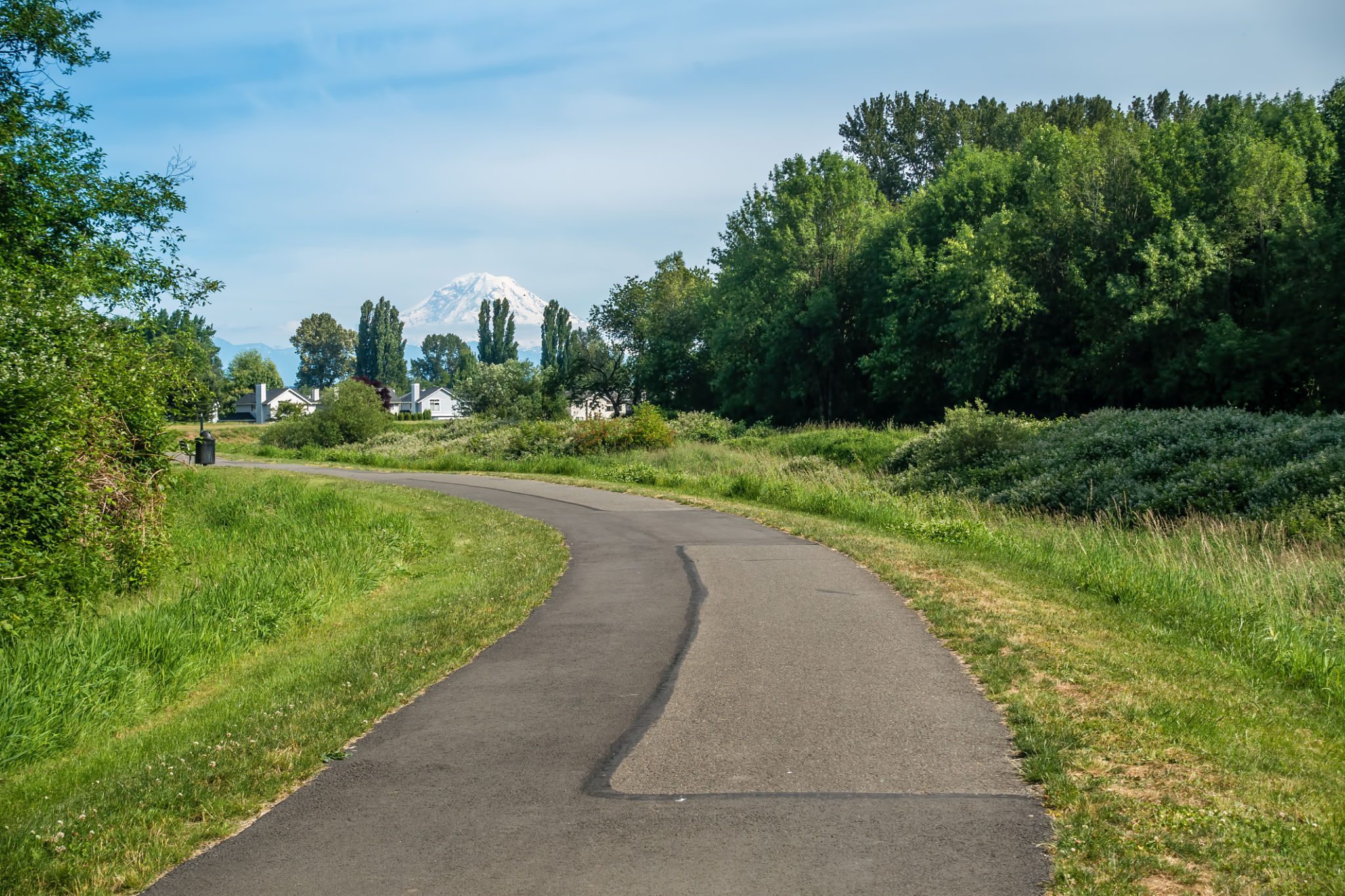 Scenic walkway in a park setting