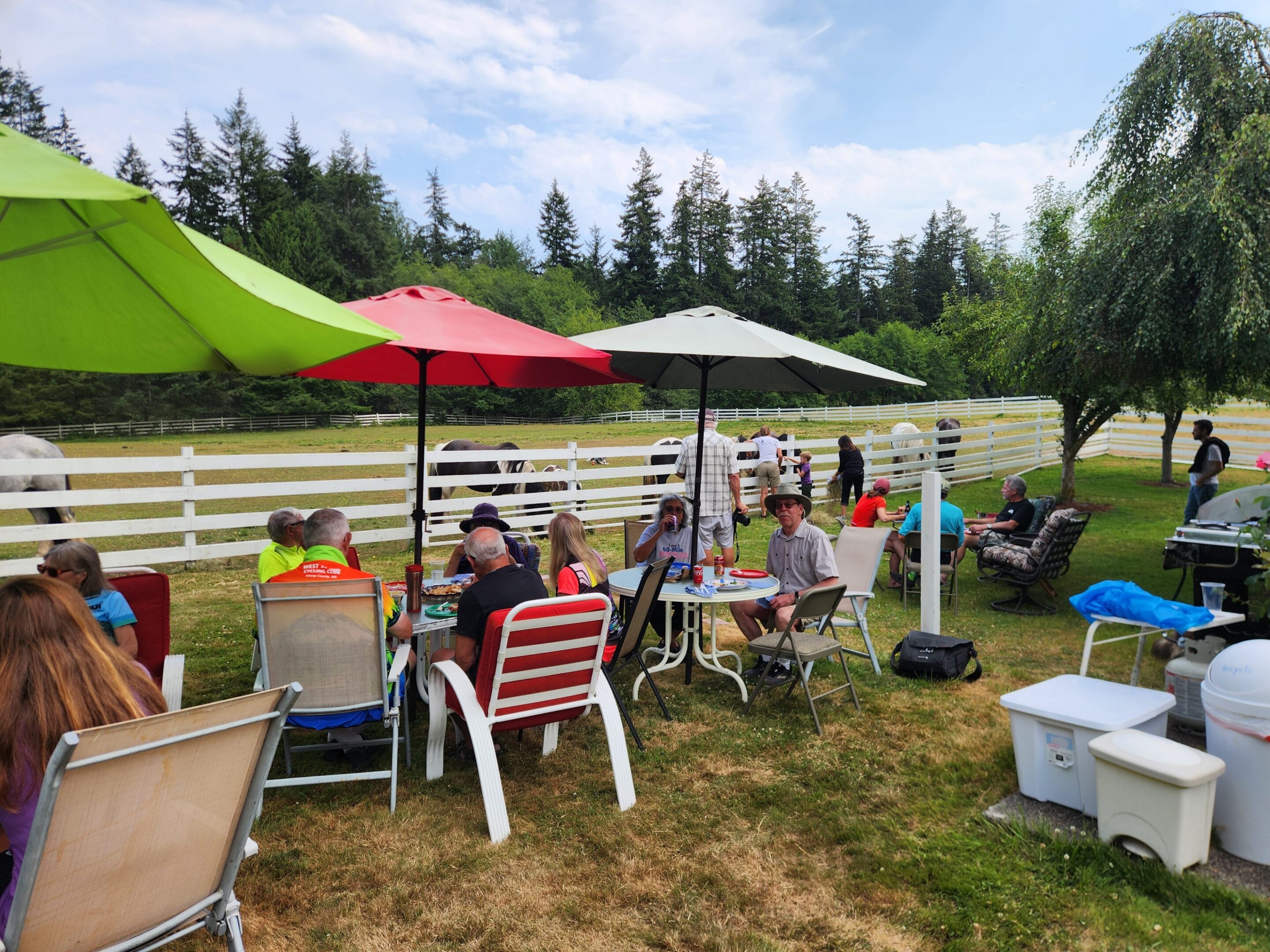 Outdoor picnic by horses at fenced pasture
