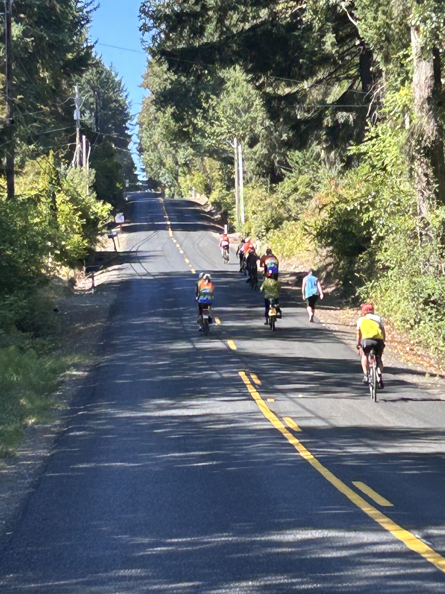 Cyclists and runners ascending tree-lined rural road